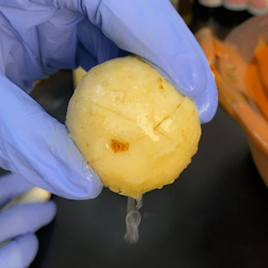 Thinning, frizzy, dryness revival without harsh chemicals.