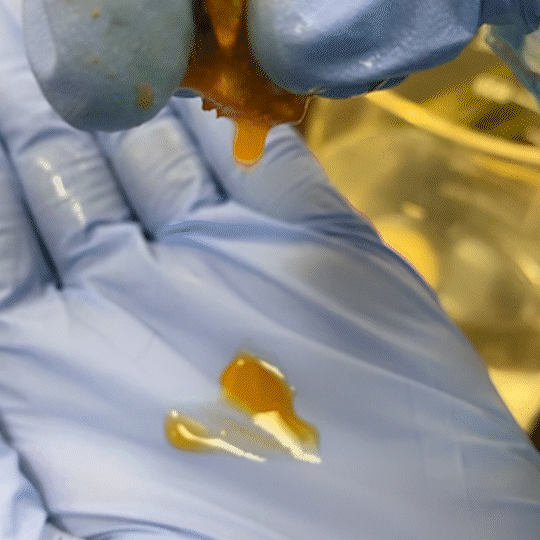 Thinning, frizzy, dryness revival without harsh chemicals.