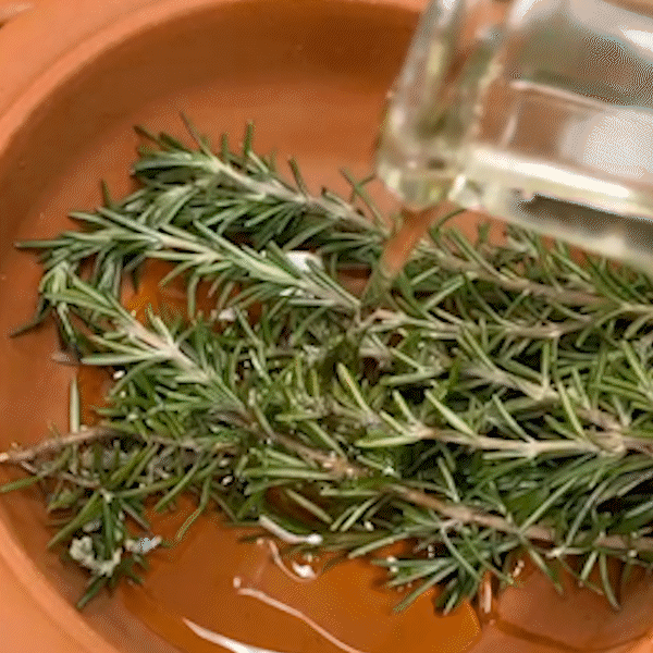 Limited Time Discovery Offer (Ends Soon)